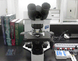 mold testing using olympus microscope